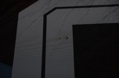 Kan davasına  dönüşmeden önünü alın Trabzonspor-Samsunspor