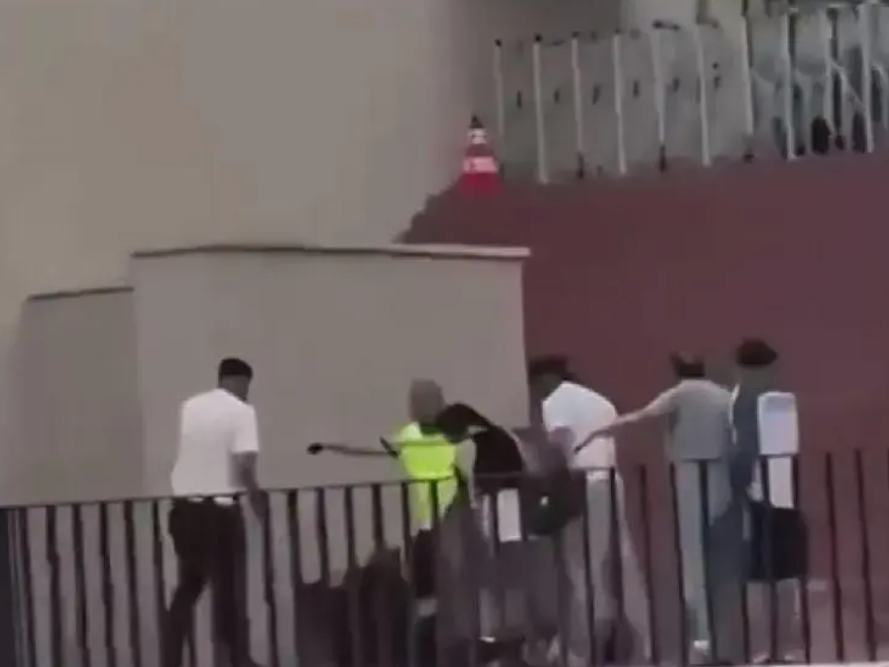 torreira
